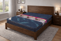 RilaXfeel Special Uro Top Mattress